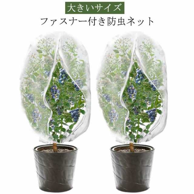 防虫ネット 送料無料 大きいサイズ 植物保護袋 白メッシュ ファスナー付 トマト 300×300cm 防虫ネット 植物保護カバー ネット 果樹 ジッパー付き 虫害対策 野菜網 防鳥ネット 虫よけネット