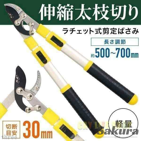 枝切り鋏 高枝切り鋏 剪定鋏 剪定ばさみ 太枝切り鋏 高枝切 枝切り鋏 枝きりはさみ 枝切りバサミ ラチェット式 軽量 伸縮 高枝 はさみ 鋏