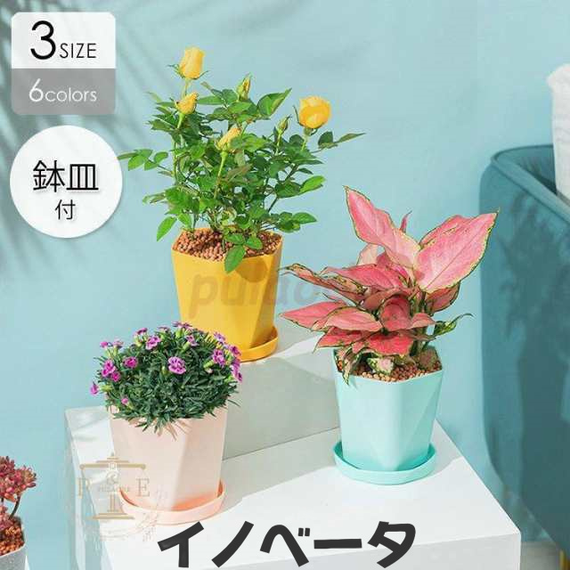 植木鉢 プランター おしゃれ 鉢植え 花 栽培 プレゼント ギフト 母の日 通販 かわいい ガーデニング ホワイト グレー ブルー グリーン ハ