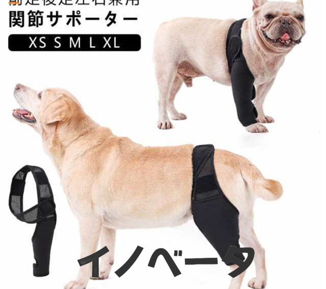 犬 床ずれ 関節サポーター 老犬介護 小型犬 中型犬 大型犬 膝サポーター 介護用品 関節プロテクター 関節保護 シニア 前足後足左右兼用 肘当て 腕 肘 老犬 ペット服 靭帯 保護 老齢犬 治療 ペ