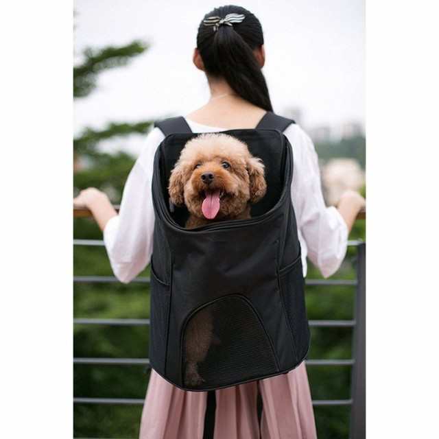 サイズ：36x45x31cm 適用体重:5kg以内のペット原産国：CN