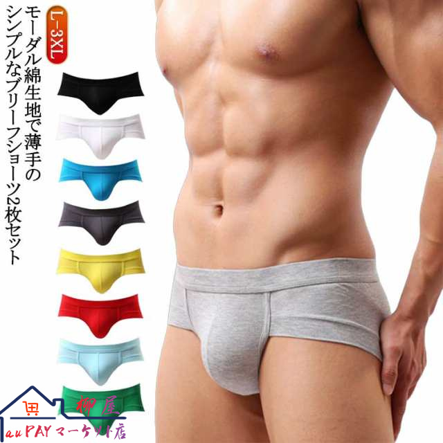 ブリーフショーツ セクシー メンズ 男性下着 シンプル ビキニブリーフ 2枚組 男性用下着 ブリーフ メンズ 前閉じ ローライズ ビキニ ビキニブリーフ ブリーフパンツ Tバック セクシー おしゃれ 