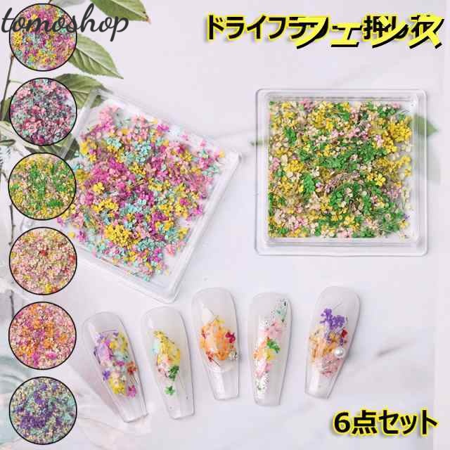 ドライフラワー ネイル押し花 6点セット 高品質 花びら ネイルパーツ レジン用 花 デコパーツ ハンドメイド 工房 用品 美甲 スターフラワー 3Dネイル プリザードネイル飾品 ネイルアート ナチュ