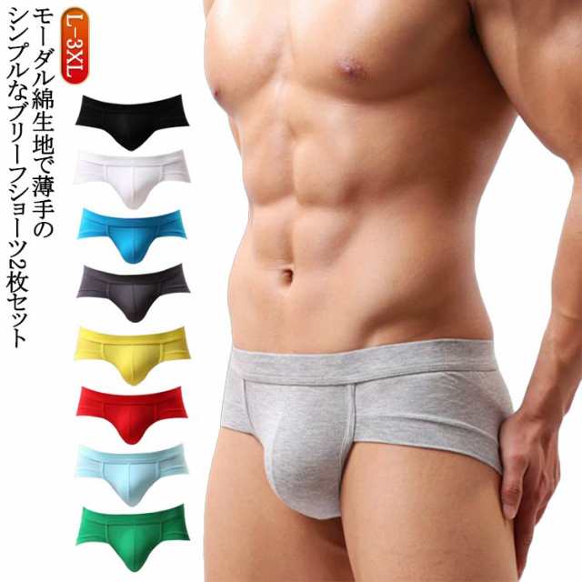 ビキニブリーフ ビキニブリーフ 男性下着 ブリーフ 2枚組 ブリーフショーツ セクシー ビキニ シンプル メンズ 前閉じ ローライズ ビキニショーツ メンズ ブリーフパンツ Tバック 男性用下着 おし