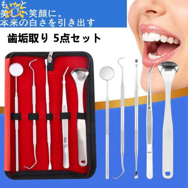 歯石取り 5本セット ケース付き スケーラーステンレス製 歯垢 食べかす 除去 用具 デンタル オーラル ケア 口腔 衛生 ツール 自宅 歯の点検 器具ヤニとり