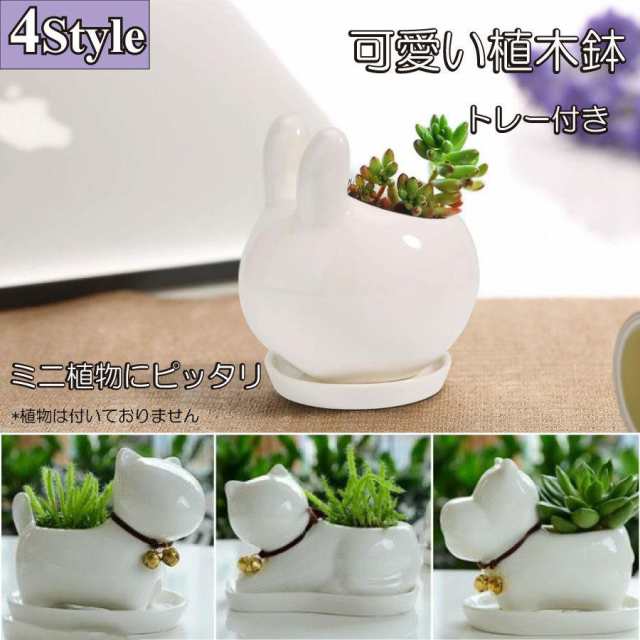 ミニ プランター 植木鉢 多肉植物鉢 サボテン セラミック トレー付き ミニ 観葉植物 ウサギ ネコ カバ いぬ ホーム 部屋飾り 母の日 送料無料