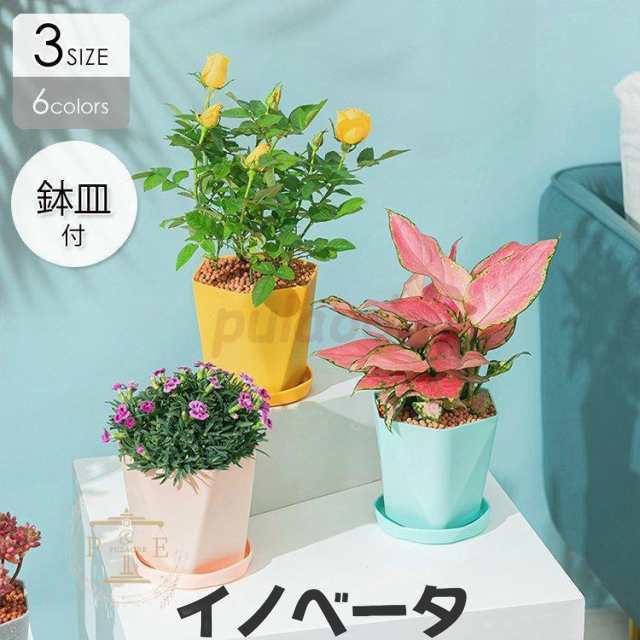 植木鉢 プランター おしゃれ 鉢植え 花 栽培 プレゼント ギフト 母の日 通販 かわいい ガーデニング ホワイト グレー ブルー グリーン ハ
